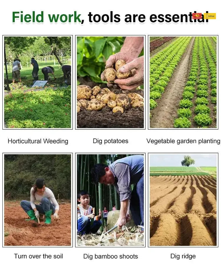 ChwastMistrz™ - Twoje najlepsze narzędzie do pielenia