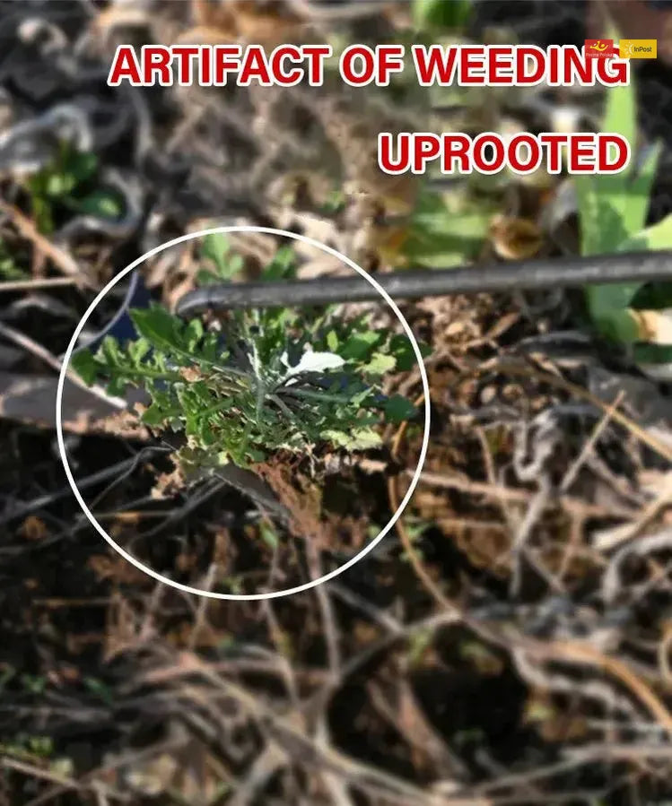 ChwastMistrz™ - Twoje najlepsze narzędzie do pielenia